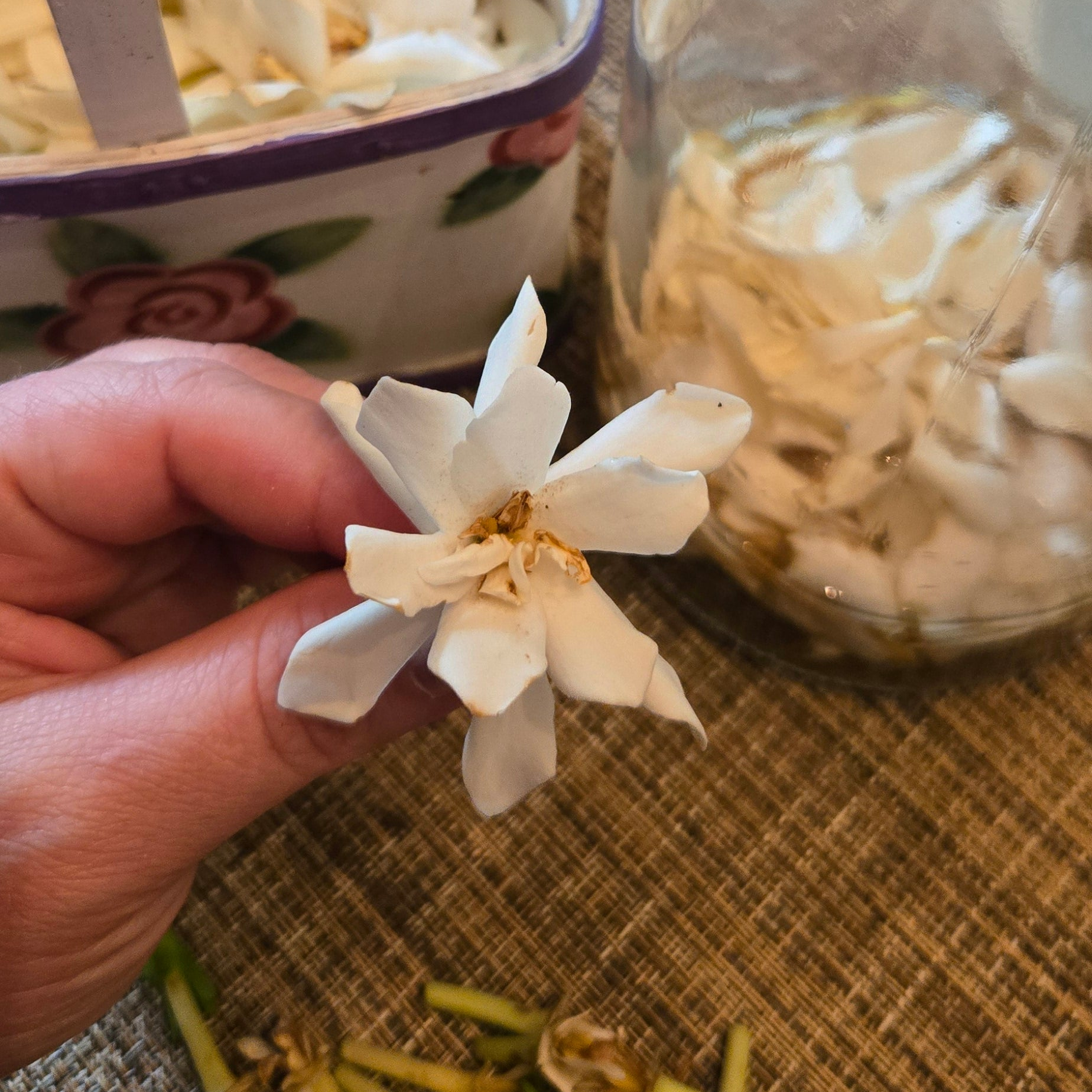 Gardenia Distillation
